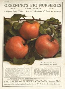 Image of apples on an advertisement for Greening's Big Nurseries