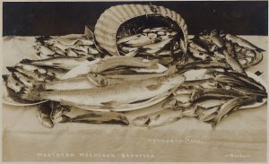 Image of several fish on a table