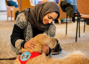 Therapy Dogs