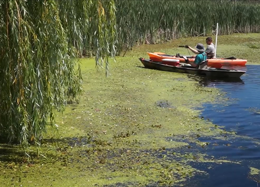 Canoes - Aquatic Invasive Species in Michigan
